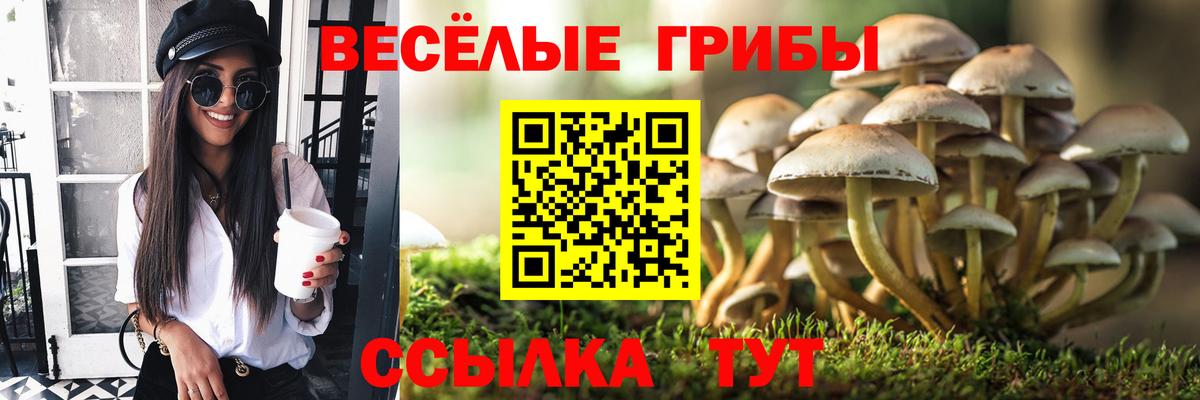 Рузаевка  Псилоцибиновые грибы прущие грибы  купить наркотик  Вход с VPN 
