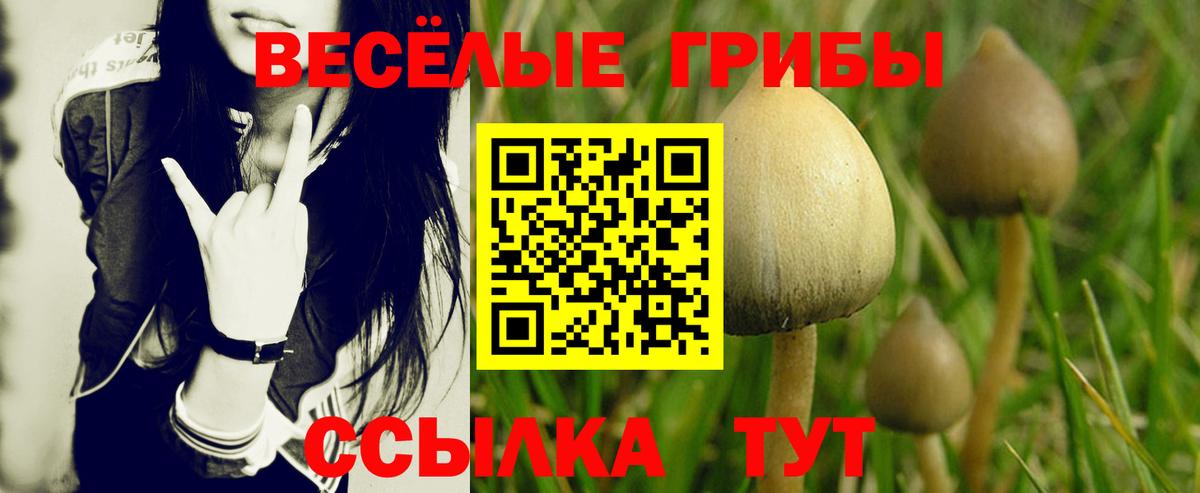 Галлюциногенные грибы GOLDEN TEACHER Рузаевка
